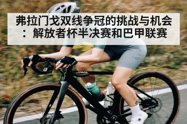 弗拉门戈双线争冠的挑战与机会:解放者杯半决赛和巴甲联赛